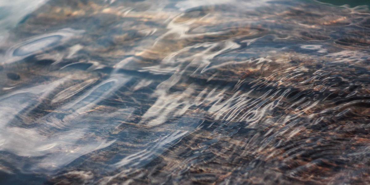 قمة ريادة الأعمال — Biban