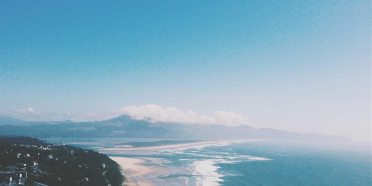 سوق المزارعين — Farm to Table